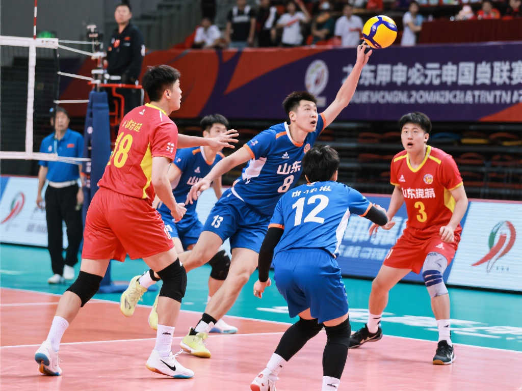 为了更好地 为了更好地